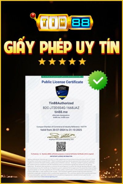 Giấy phép của TIN88 uy tín